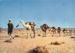 NIGER CARAVANE - Niger