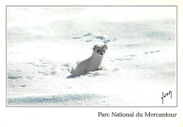 06 MERCANTOUR PARC NATIONAL - Autres & Non Classés