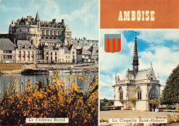 37 AMBOISE - Amboise