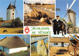 85 VENDEE LES BOURRINES - Other & Unclassified