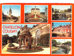 45 CHATILLON COLIGNY - Chatillon Sur Loire