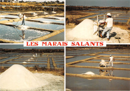 44 LES MARAIS SALANTS - Other & Unclassified