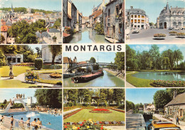 45 MONTARGIS PARC DURZY - Montargis