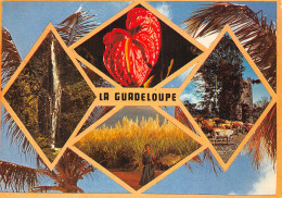 LA GUADELOUPE - Other & Unclassified