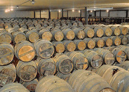 16 COGNAC UN CHAI DE RESERVE - Cognac