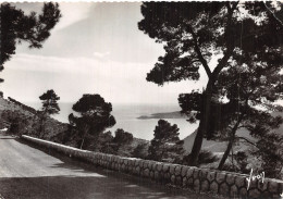 06 LE CAP FERRAT ROUTE DE LA GRANDE CORNICHE - Autres & Non Classés