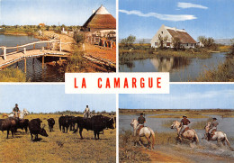 13 CAMARGUE - Autres & Non Classés