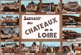 37 LA LOIRE LES CHATEAUX - Autres & Non Classés