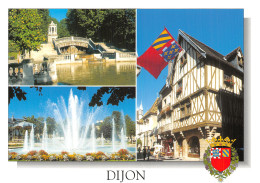 21 DIJON LE JARDIN DARCY - Dijon