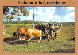 GUADELOUPE LA CANNE A SUCRE - Other & Unclassified