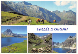 64 VALLEE D OSSAU - Other & Unclassified