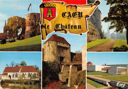 14 CAEN LE CHÂTEAU - Caen