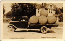 GEORGIA CANTALOUPES 1935 BIG BIG MELON - Brooklyn