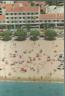 Hôtel "Les Palmiers" Fréjus-Plage - Flamme  De St-Raphaël 1977 - (P) - Frejus