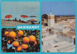 TUNISIE HAMMAMET - Tunisie