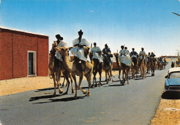 ALGERIE TINDOUF - Autres & Non Classés