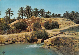 TUNISIE GABES L OASIS - Tunisia