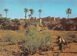 MAROC TAOURIRT - Other & Unclassified