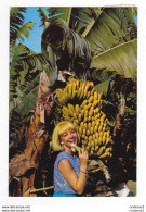 Tenerife CANARIAS N°298 Plataneras Y Bananas Plantation De Bananes En 1971 VOIR TIMBRE - Tenerife