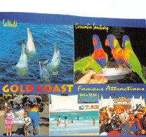 AUSTRALIA GOLD COAST - Autres & Non Classés