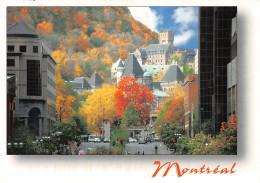 CANADA MONTREAL - Cartes Modernes