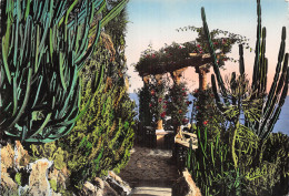 98 MONACO LE JARDIN EXOTIQUE - Exotic Garden