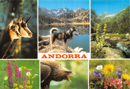 ANDORRA - Andorre