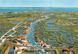 17 L ILE D OLERON LE PORT - Ile D'Oléron