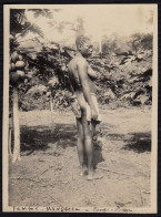 Congo - Ethnie Mangbetu - Jeune Femme Près D'un Papayer - Africa