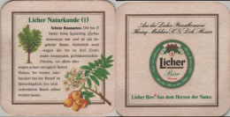 5005992 Bierdeckel Quadratisch - Licher - Sous-bocks