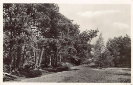 NIJVERDAL - Holter Fietspad - Uitg. Westera  - Nijverdal