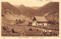 Vallée De La Wormsa - Spitzkoepfe Et Hohneck - Ed. Braun & Cie - Autres & Non Classés