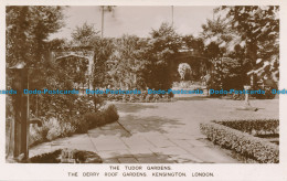 R166548 The Tudor Gardens. The Derry Roof Gardens. Kensington. London. Derry And - Other & Unclassified