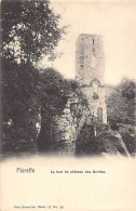 FLOREFFE (Namur) La Tour Du Château Des Grottes - Ed. Nels Série 17 N. 18 - Floreffe