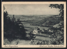 AK Bad Mergentheim, Hotel Und Café Erlenbachtal Vom Berg Aus Gesehen  - Bad Mergentheim