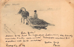 Russia - Russian Types - The Sled - Publ. O. Renar 25 - Russia