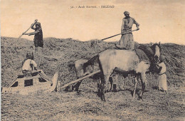 Iraq - BAGHDAD - Arab Harvest - Publ. Unknown 50 - Irak