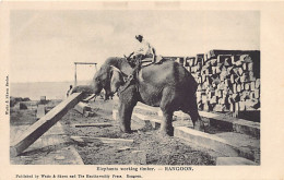 Burma - RANGOON - Elephants Working Timber - Publ. Watts & Skeen - Myanmar (Birma)