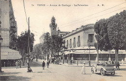 Tunisie - TUNIS - Avenue De Carthage - Le Palmarium - Brasserie Champigneulles - Ed. A. R. 30 - Tunisie