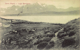 Chile - Cerro Payne - Lago Sarmiento - Ed. A. Kwasny  - Chile