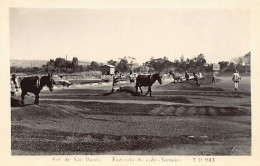 Brasil - Est. De Sao Paulo - Fazenda De Café - Terreiro - POSTAL FOTO - Ed. DesconhecidoTP943 - Autres & Non Classés