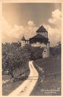 Liechtenstein - Schloss Vaduz - Verlag A. Buck  - Liechtenstein