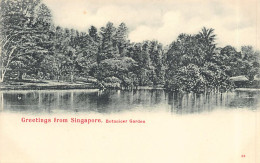 Singapore - Botanical Garden - Publ. Unknown  - Singapour