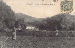 Algérie - MAILLOT M'Chedallah - Ferme Du Domaine Des Cheurfas - Pub. Huiles D'Olives Lulsdorff à Maillot - Ed. G. Caspar - Sonstige & Ohne Zuordnung