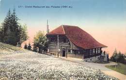 Chalet-Restaurant Des Pléiades (VD) - Ed. Selhofer 277 - Autres & Non Classés