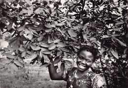 Côte D'Ivoire - Jeune Fille à L'ombre D'un Goyavier - TAILLE DE LA CARTE POSTALE 15 Cm. Par 10 Cm. - POSTCARD SIZE 15 Cm - Ivoorkust