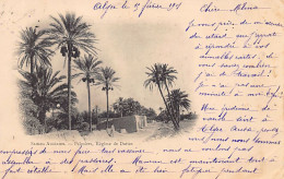 Algérie - CARTE PRÉCURSEUR Année 1901 - Sahara Algérien - Palmiers, Régime De Dattes - Ed. Inconnu 3 - Scènes & Types
