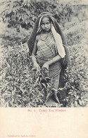 SRI LANKA - Tamil Tea Plucker - Publ. Andrée 4 - Sri Lanka (Ceylon)