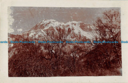 R166167 Mountain. Trees. Old Photography. Postcard - World