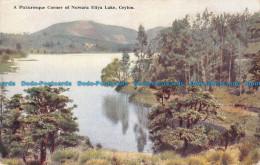 R166180 A Picturesque Corner Of Nuwara Eliya Lake. Ceylon. No. 57. Plate. 1965 - Monde